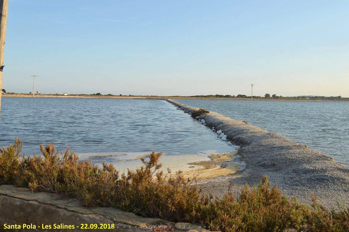 33 SANTA POLA LES SALINES (26).JPG